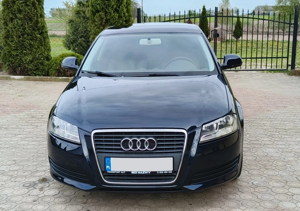 Audi A3 cena 22999 przebieg: 263000, rok produkcji 2008 z Gozdnica małe 529